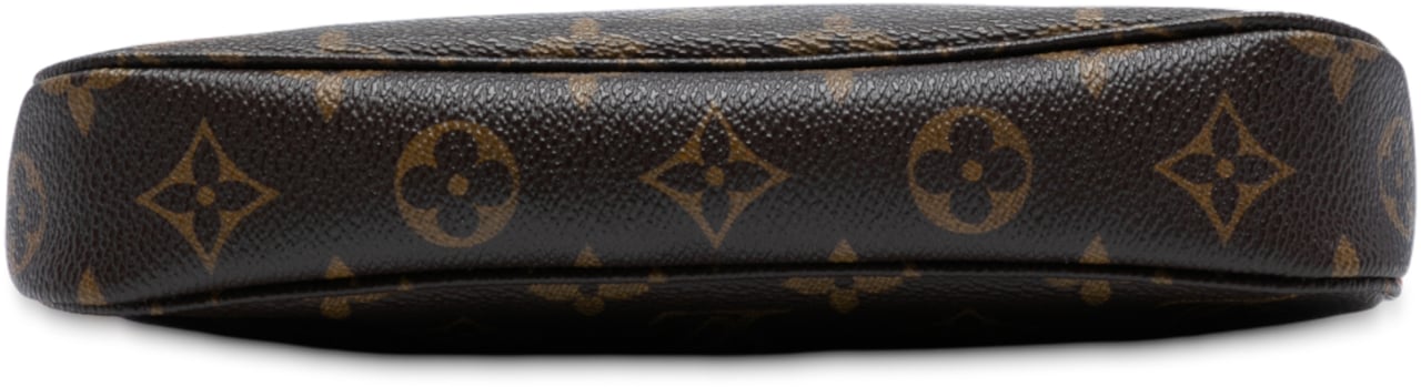 Louis Vuitton Monogram Pochette Accessoires Bruin