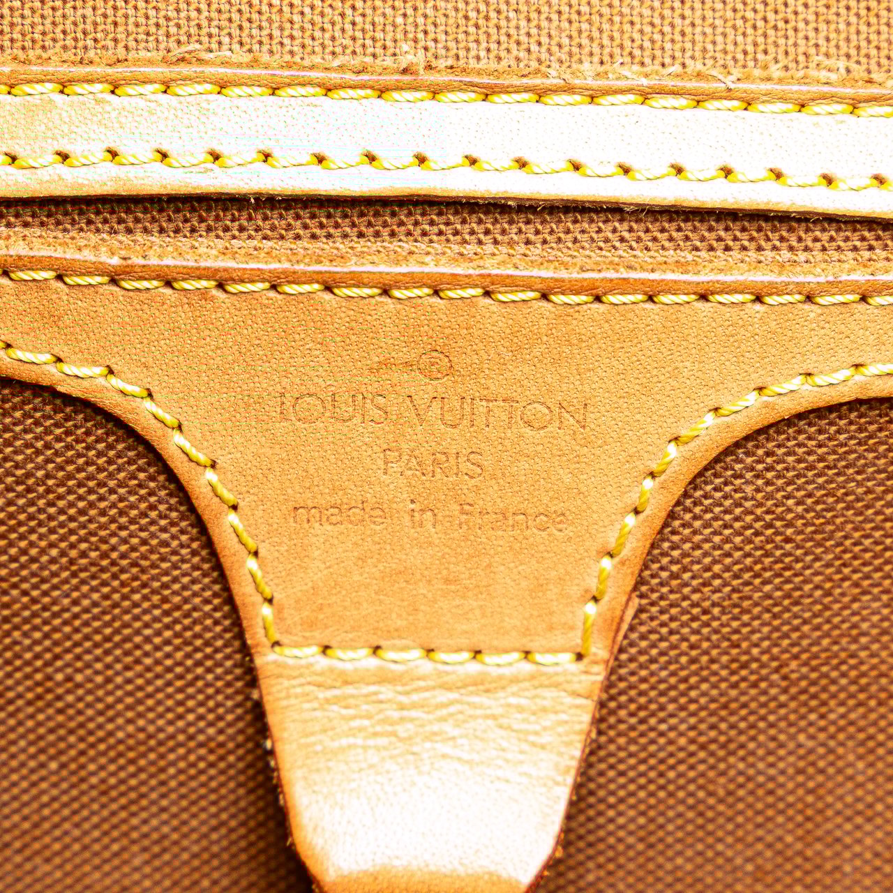 Louis Vuitton Monogram Ellipse PM Bruin