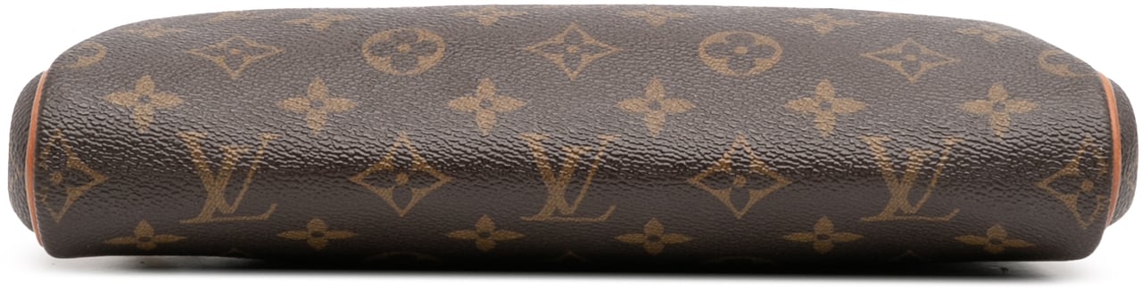 Louis Vuitton Monogram Eva Bruin