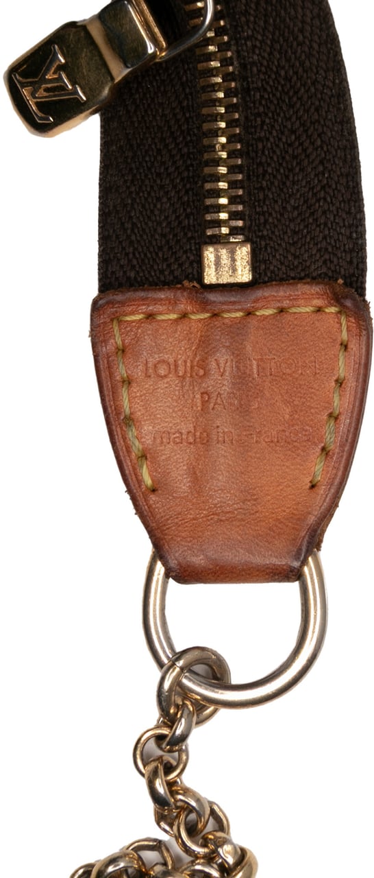 Louis Vuitton Monogram Eva Bruin