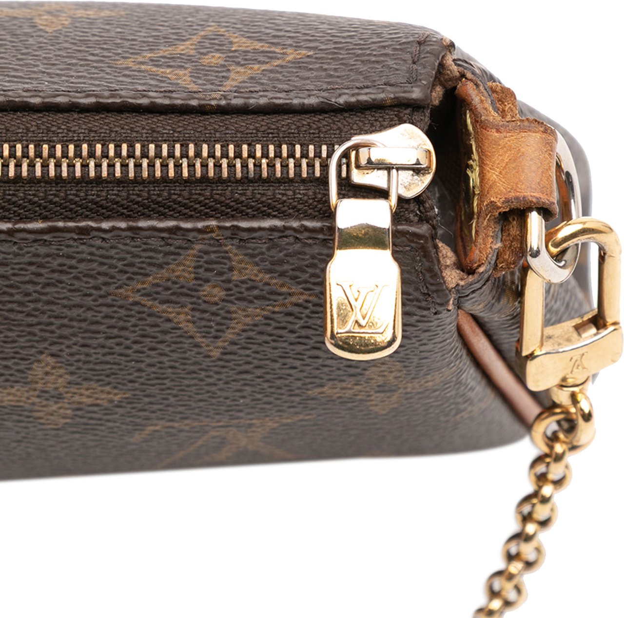 Louis Vuitton Monogram Eva Bruin