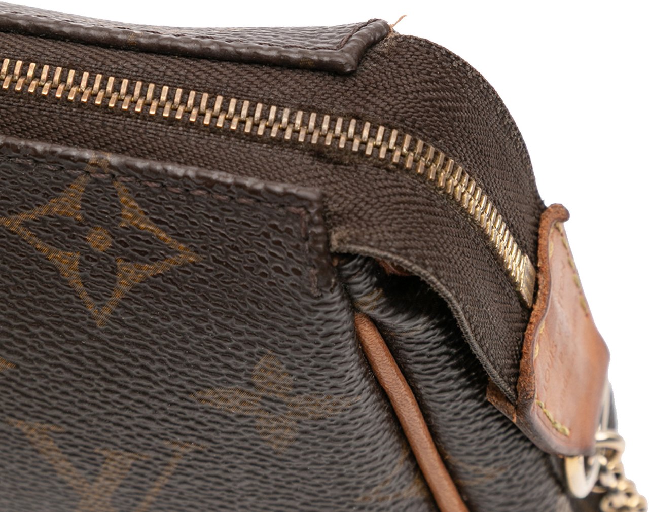 Louis Vuitton Monogram Eva Bruin