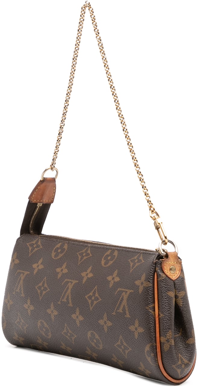 Louis Vuitton Monogram Eva Bruin