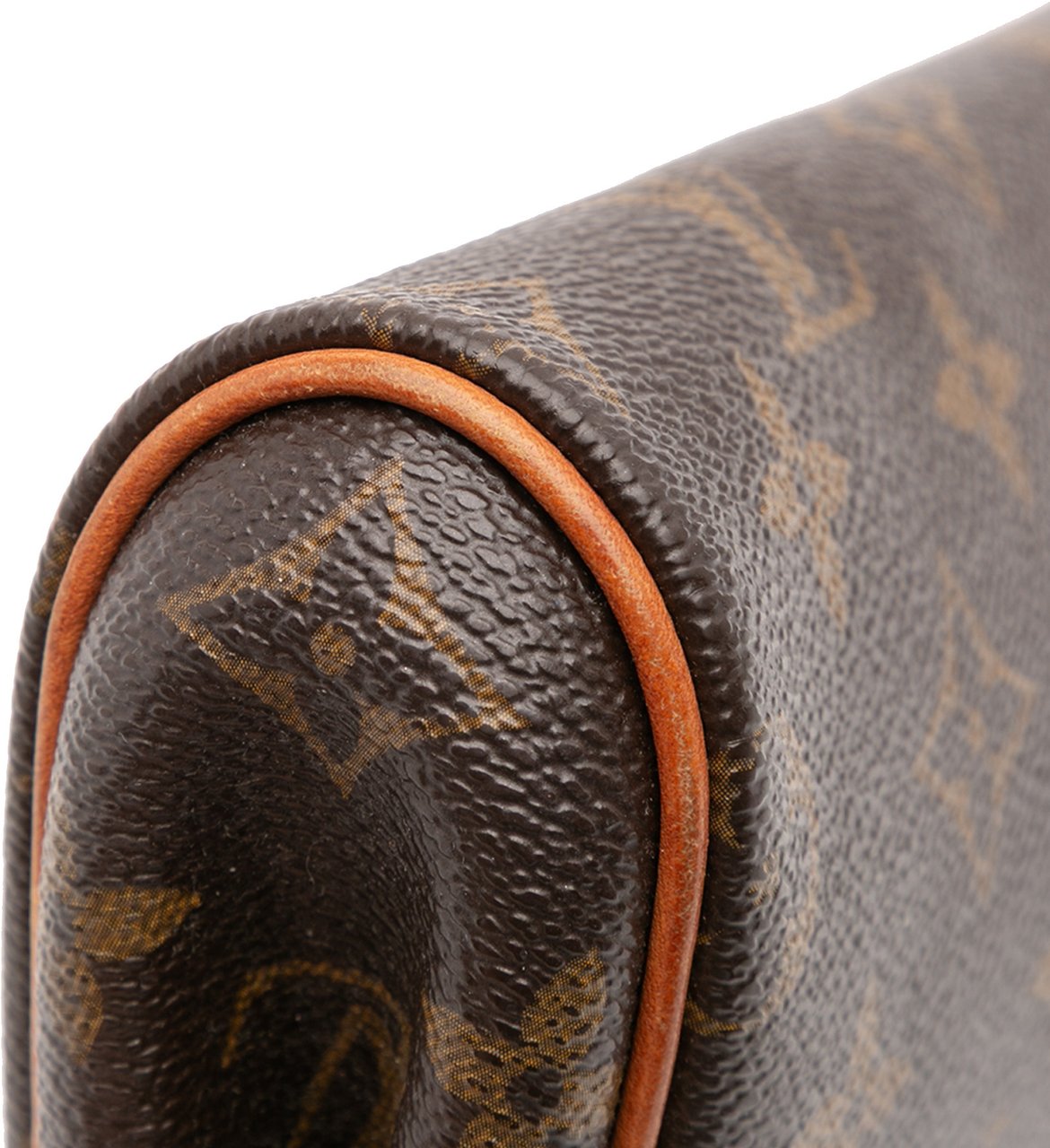 Louis Vuitton Monogram Eva Bruin