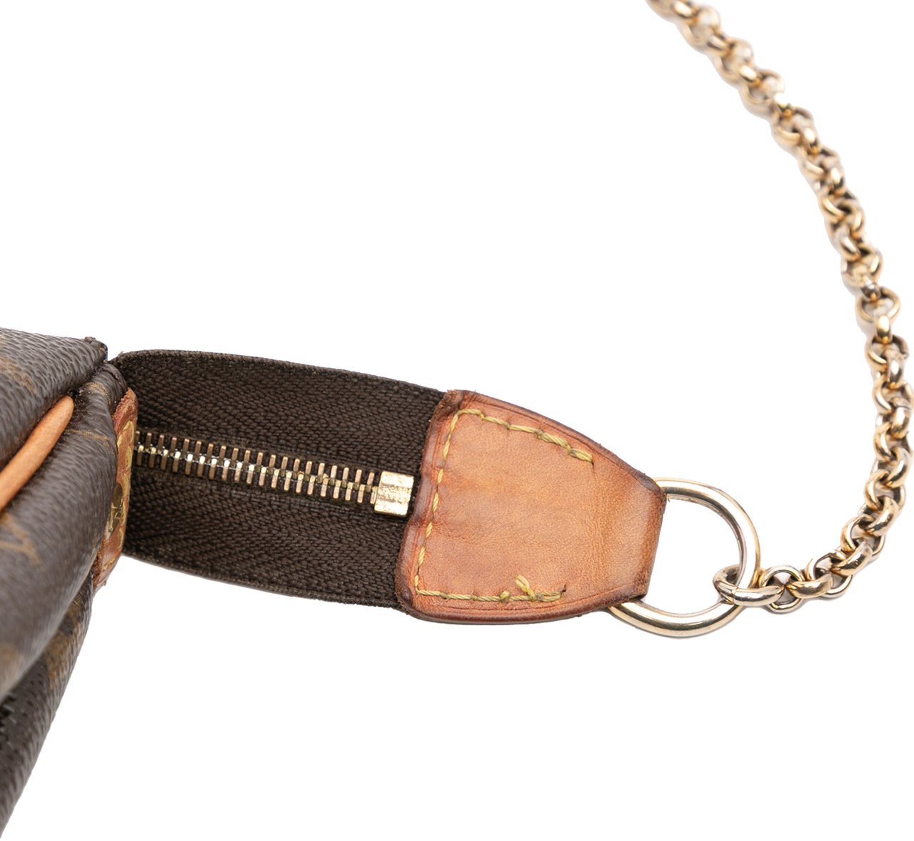 Louis Vuitton Monogram Eva Bruin