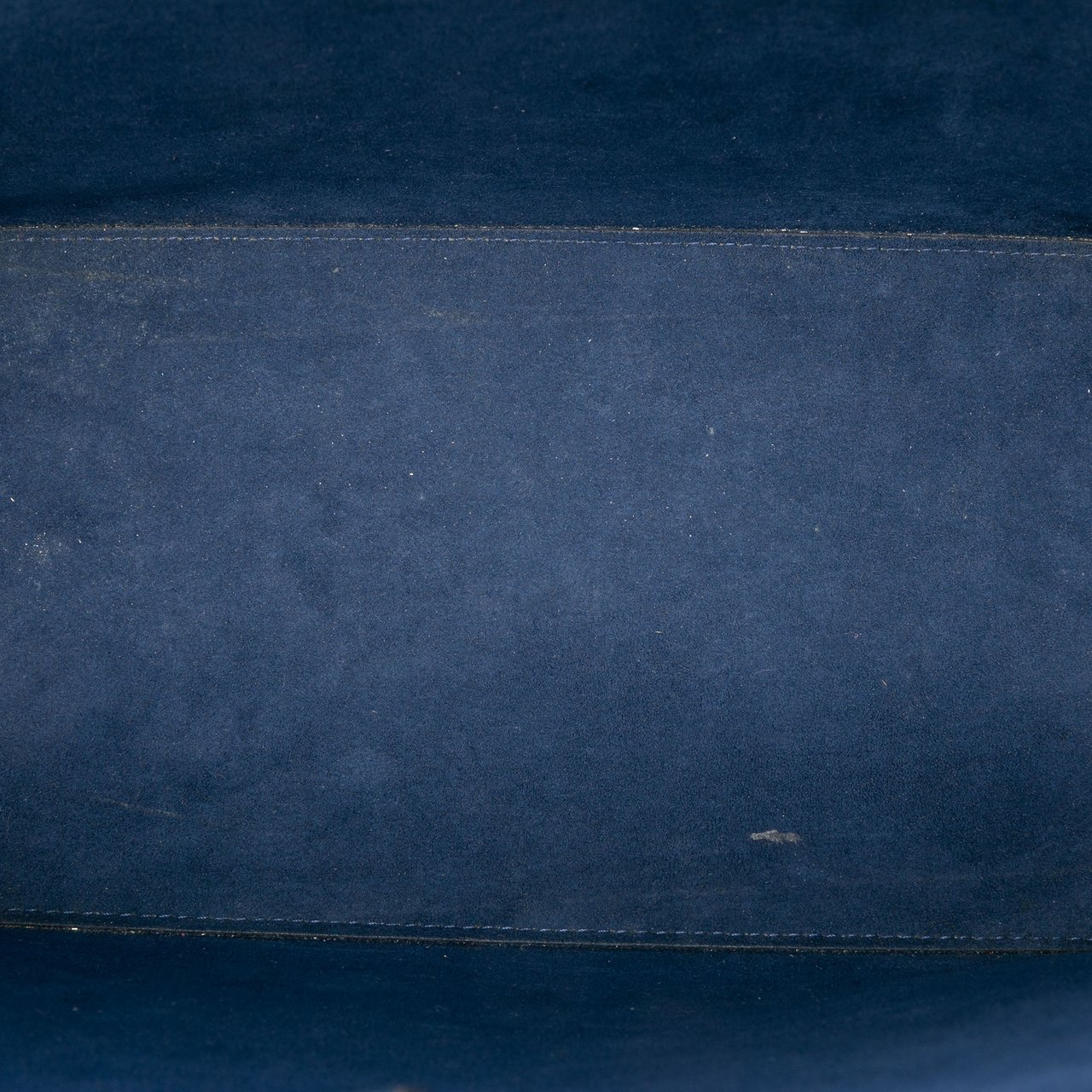 Louis Vuitton Epi Neverfull MM Blauw