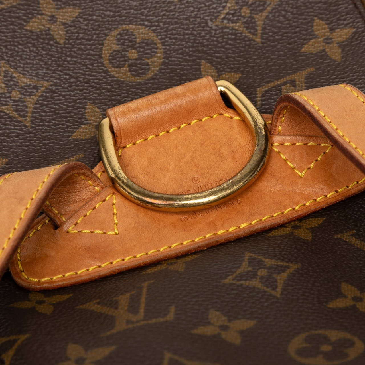Louis Vuitton Monogram Montsouris PM Bruin