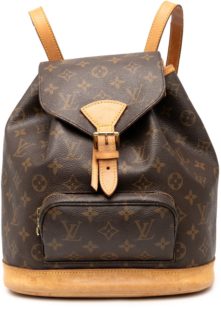 Louis Vuitton Monogram Montsouris PM Bruin