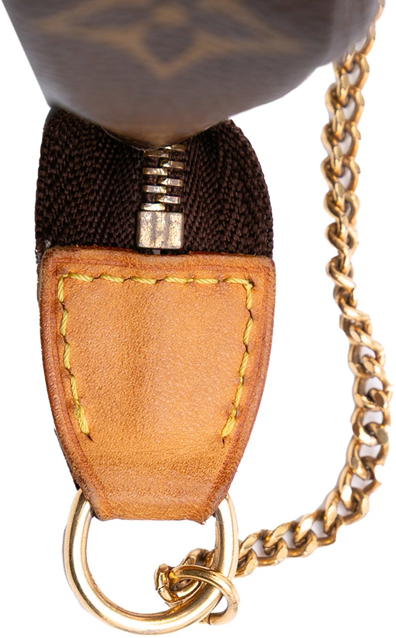 Louis Vuitton Monogram Mini Pochette Accessoires Bruin
