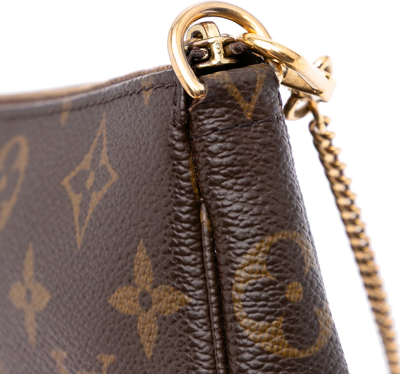 Louis Vuitton Monogram Mini Pochette Accessoires Bruin