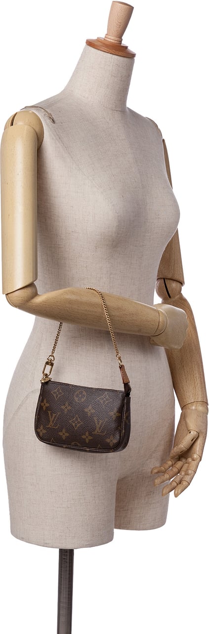 Louis Vuitton Monogram Mini Pochette Accessoires Bruin