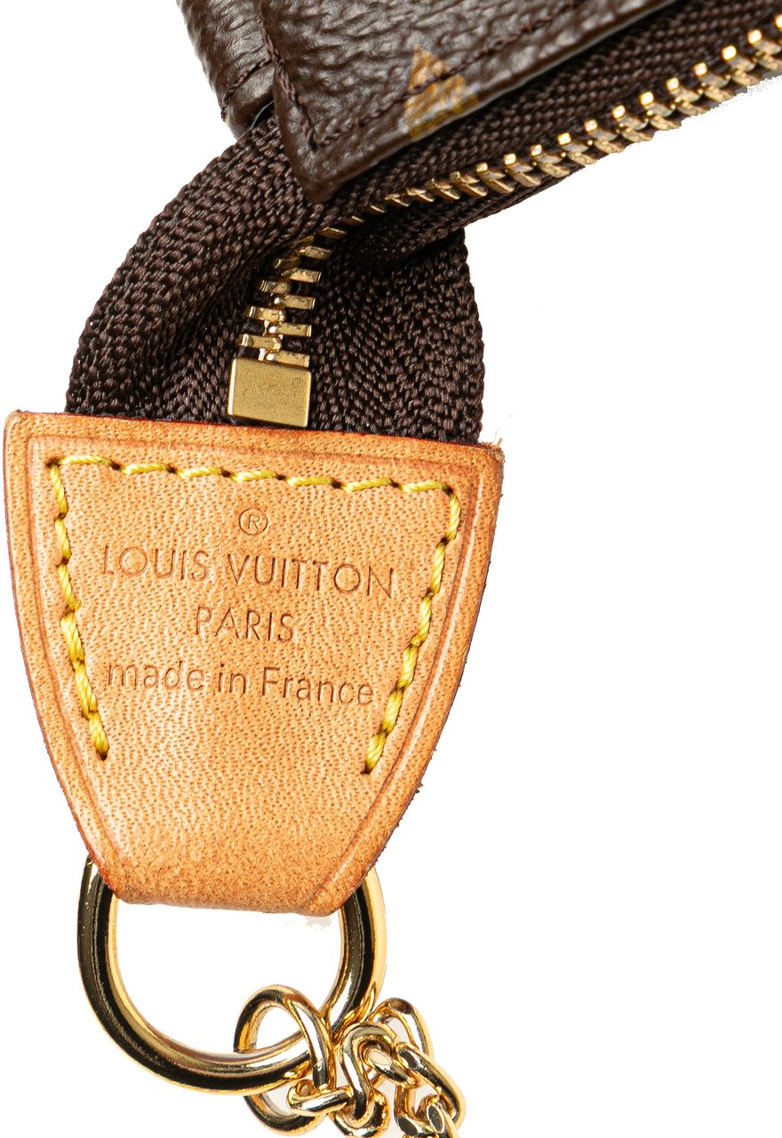 Louis Vuitton Monogram Mini Pochette Accessoires Bruin