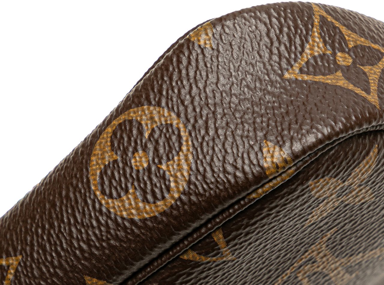 Louis Vuitton Monogram Mini Pochette Accessoires Bruin