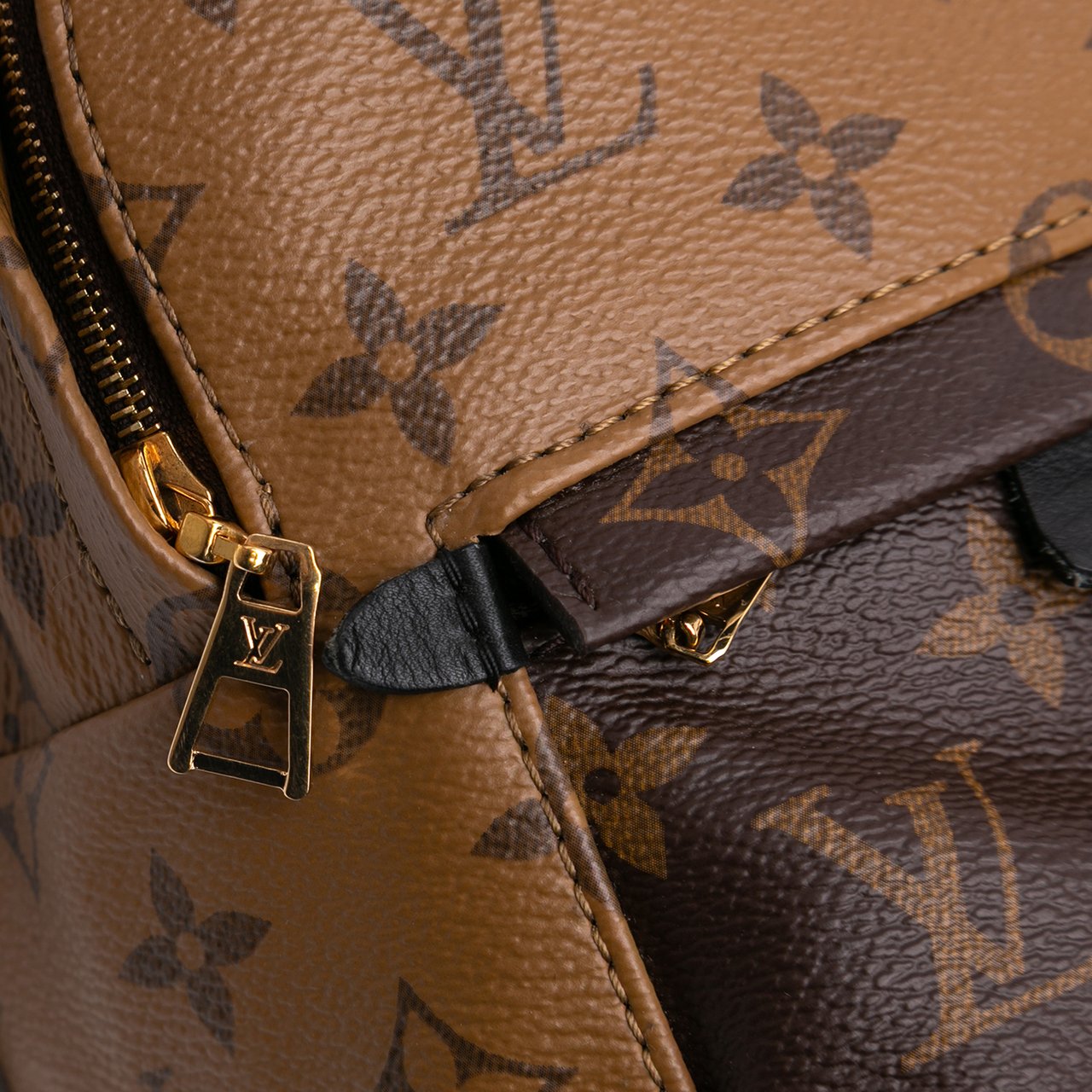 Louis Vuitton Monogram Reverse Mini Palm Springs Bruin