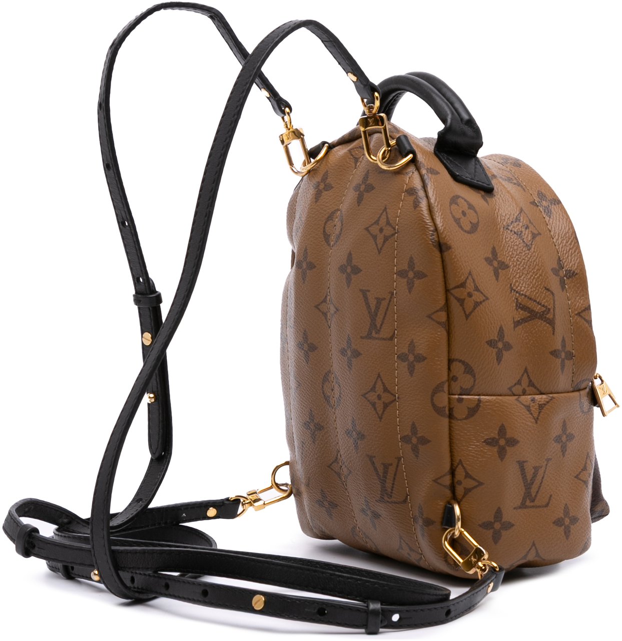 Louis Vuitton Monogram Reverse Mini Palm Springs Bruin