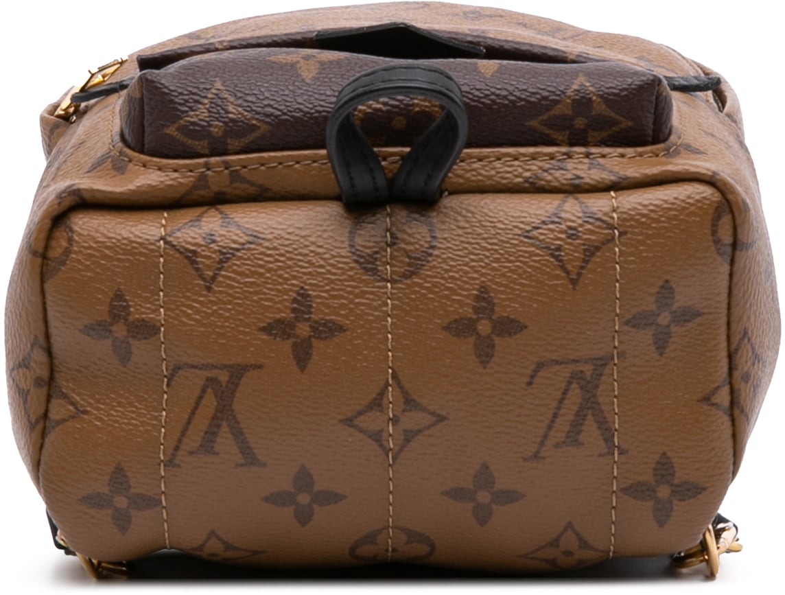 Louis Vuitton Monogram Reverse Mini Palm Springs Bruin