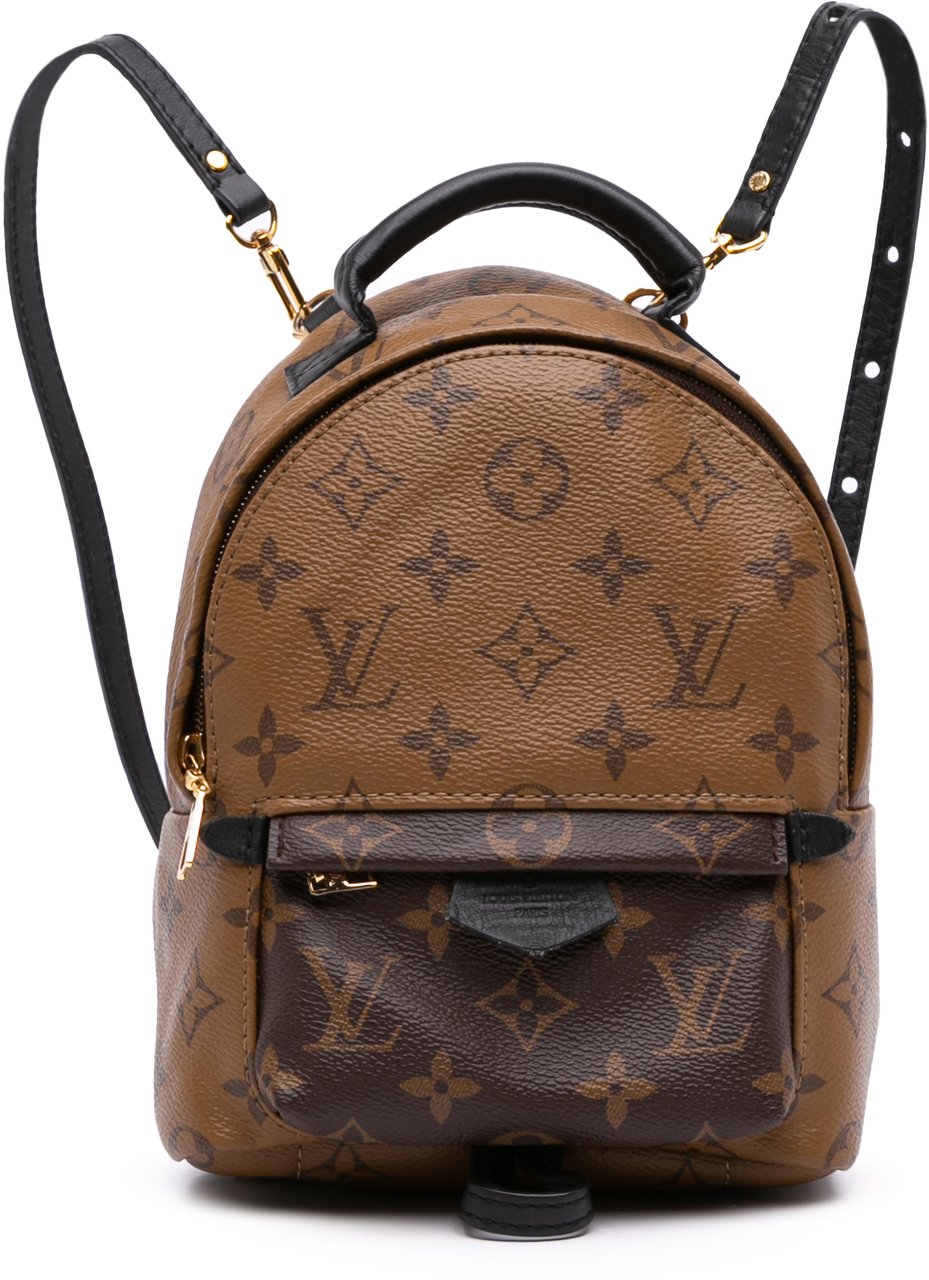 Louis Vuitton Monogram Reverse Mini Palm Springs Bruin