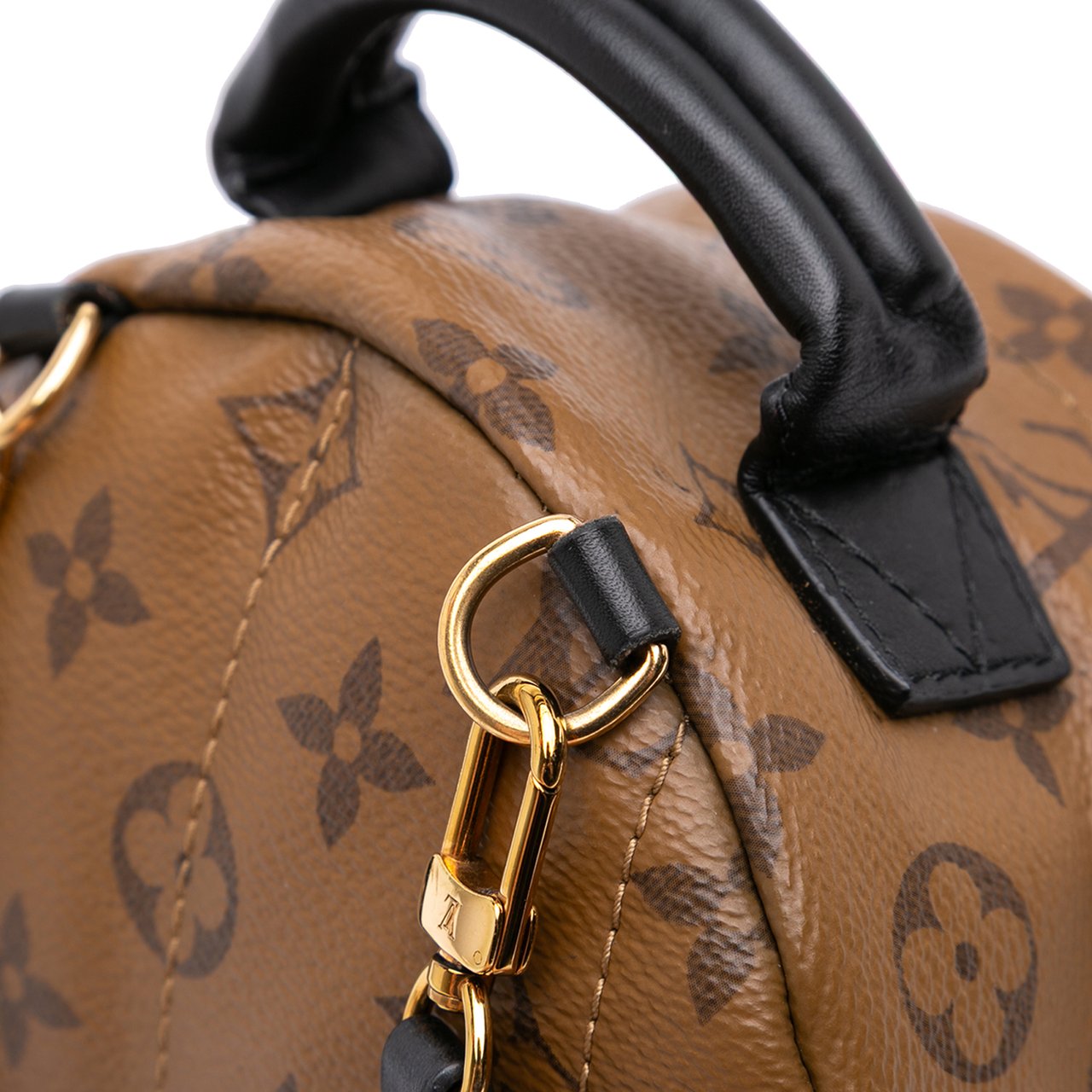 Louis Vuitton Monogram Reverse Mini Palm Springs Bruin
