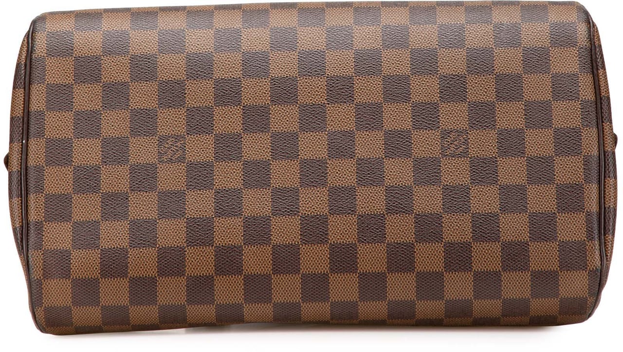 Louis Vuitton Damier Ebene Ribera MM Bruin