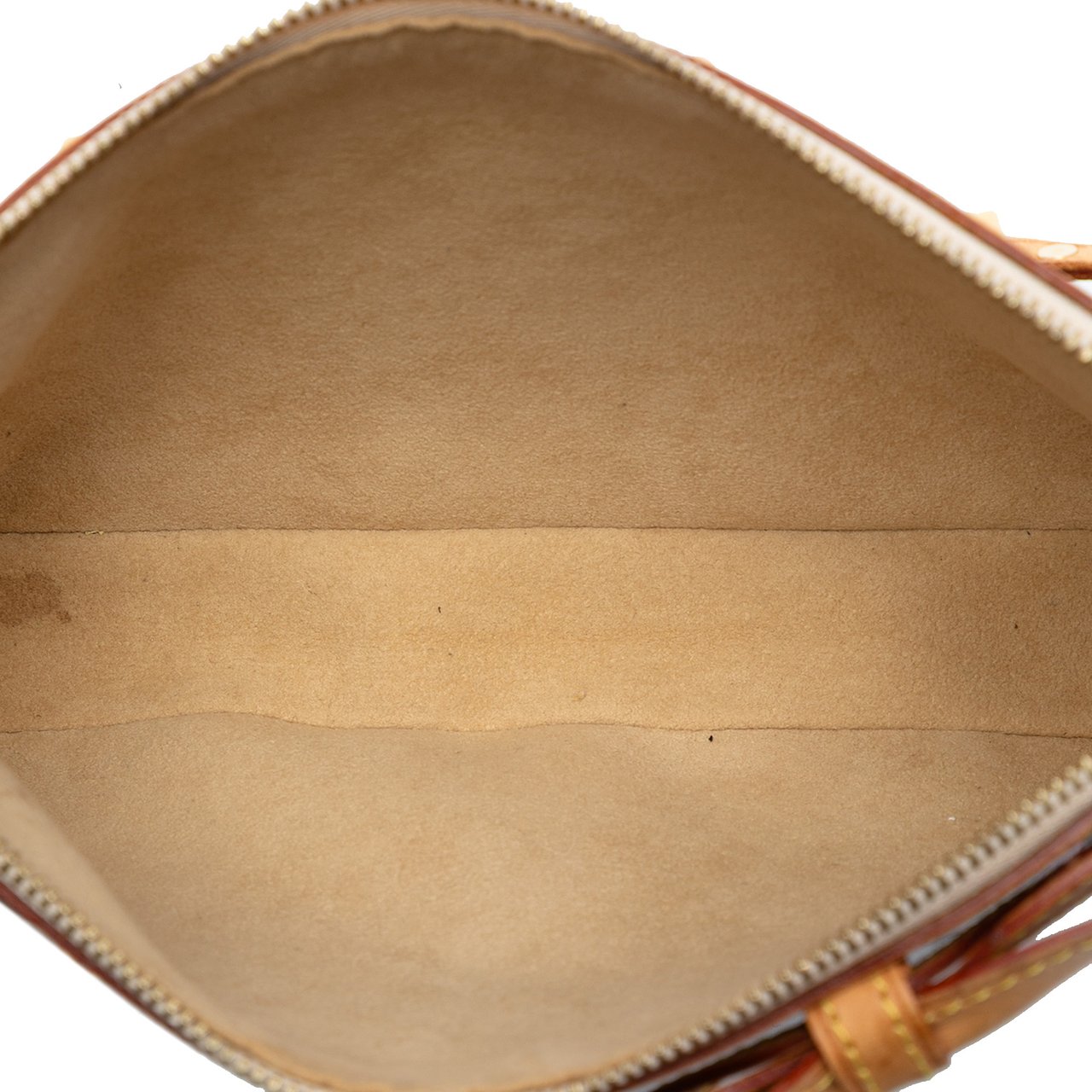 Louis Vuitton Takashi Murakami Monogram Cherry Blossom Pochette Accessoires Bruin