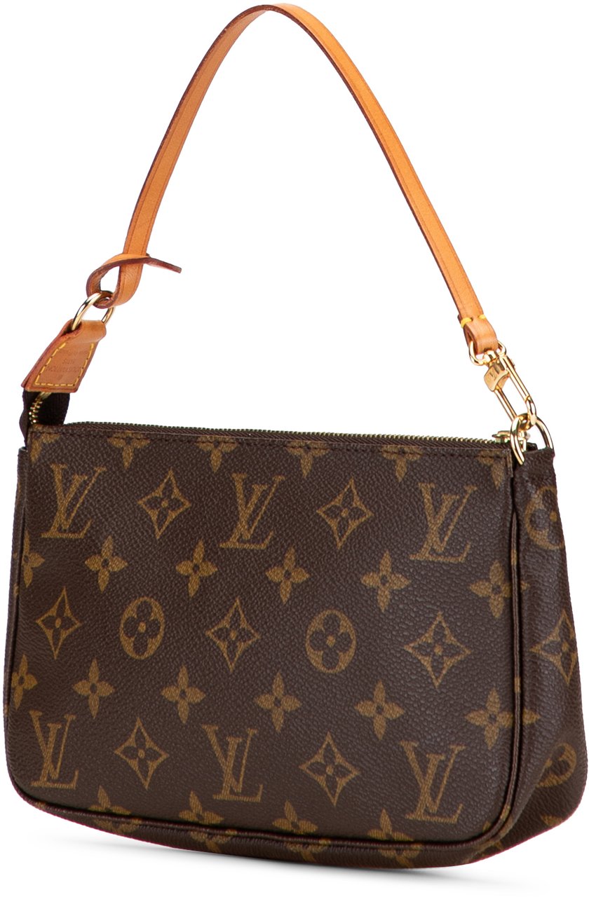 Louis Vuitton Monogram Pochette Accessoires Bruin
