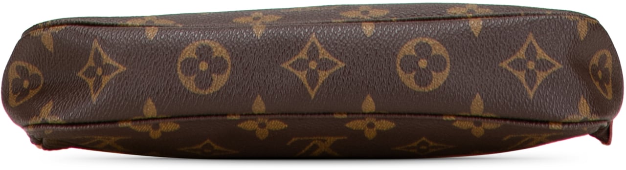 Louis Vuitton Monogram Pochette Accessoires Bruin