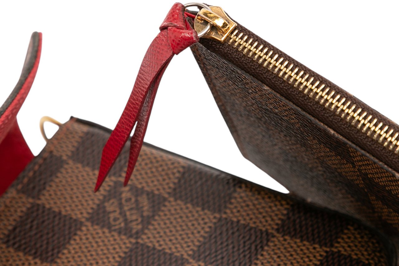 Louis Vuitton Damier Ebene Pochette Felicie Bruin