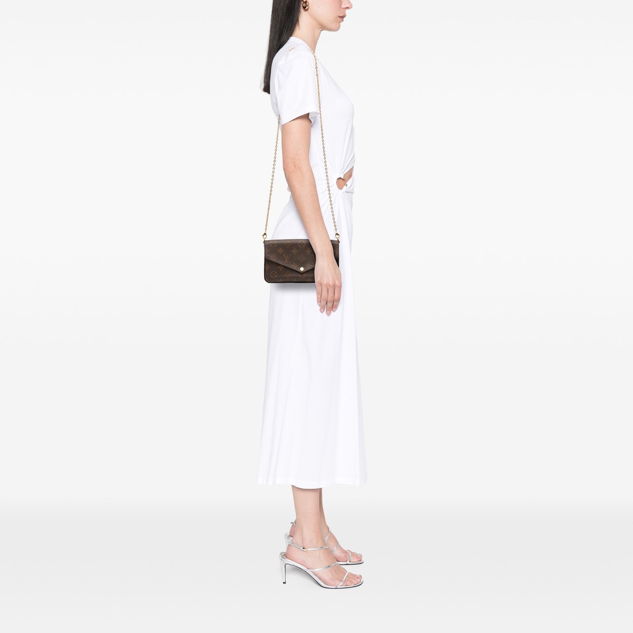 Louis Vuitton Monogram Pochette Felicie Bruin