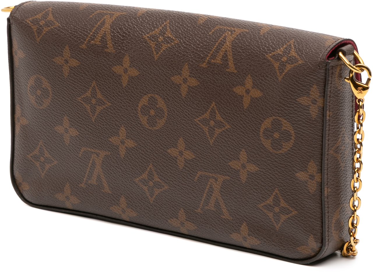 Louis Vuitton Monogram Pochette Felicie Bruin