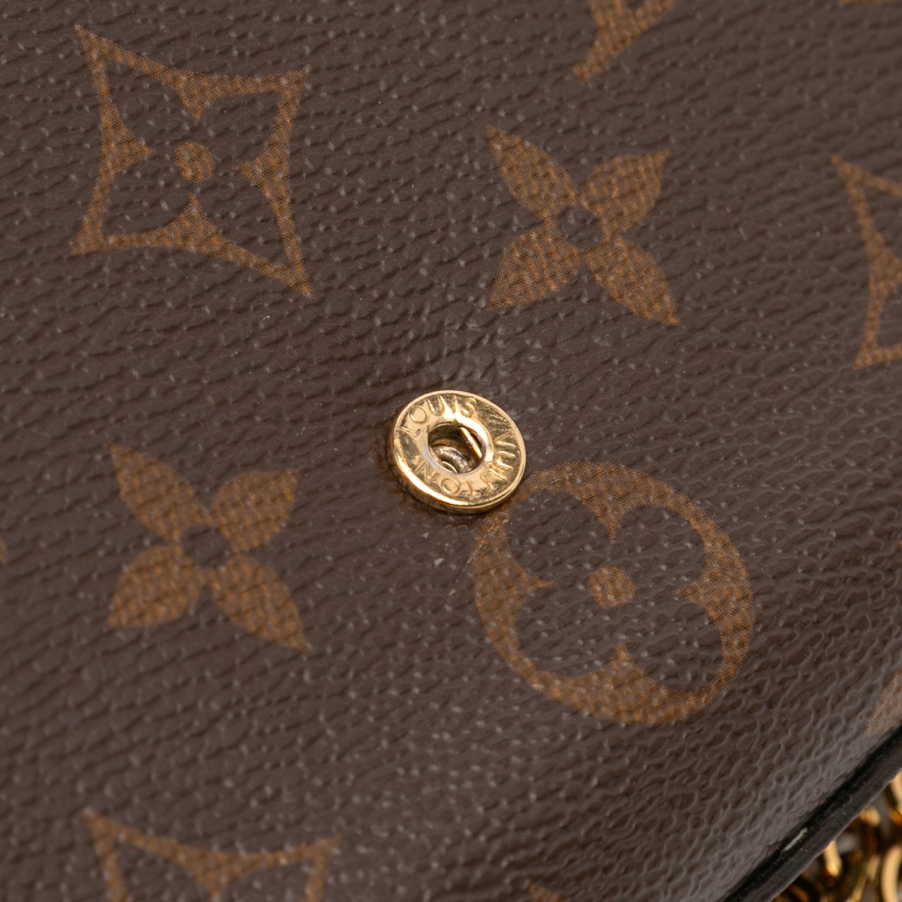 Louis Vuitton Monogram Pochette Felicie Bruin