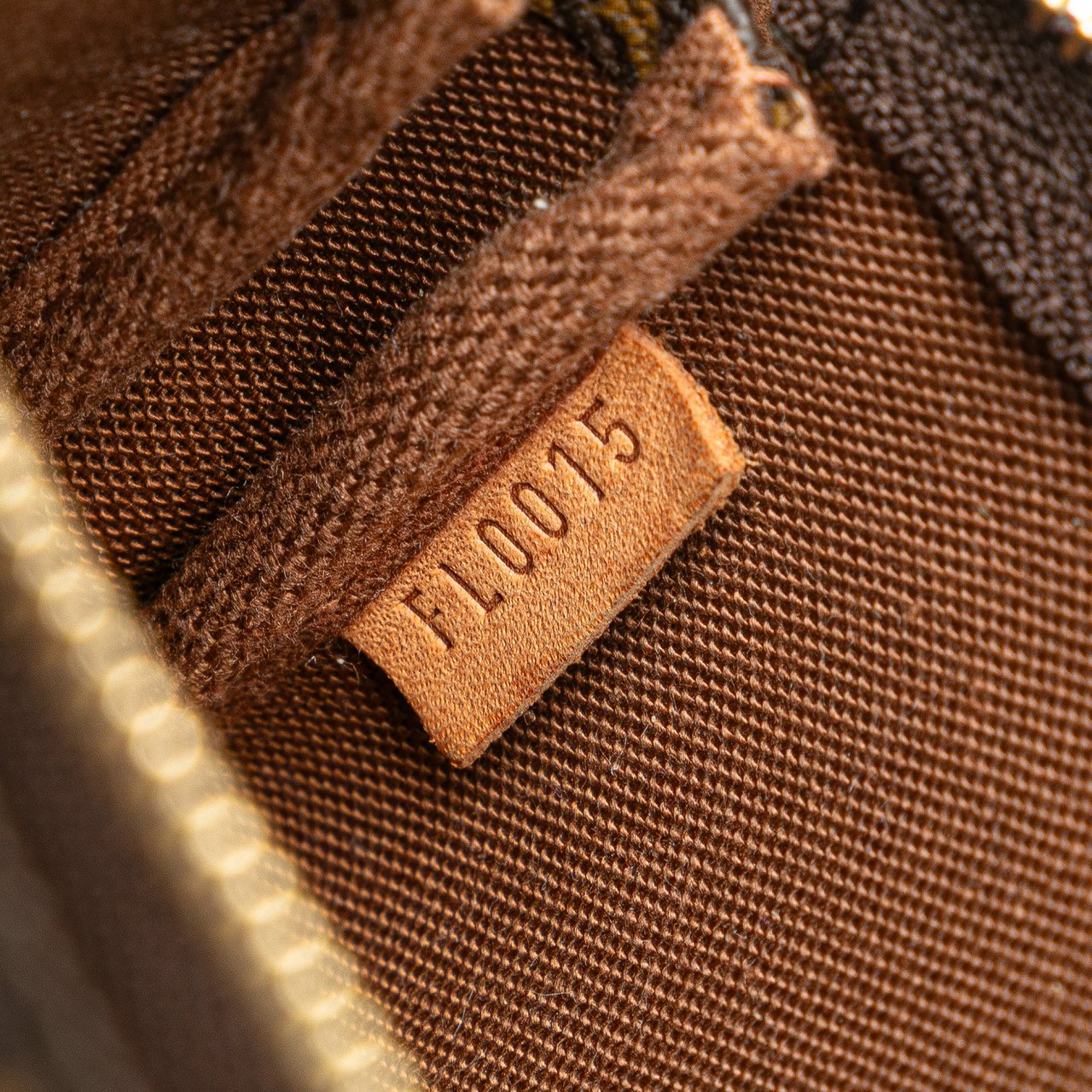 Louis Vuitton Monogram Mini Pochette Accessoires Bruin