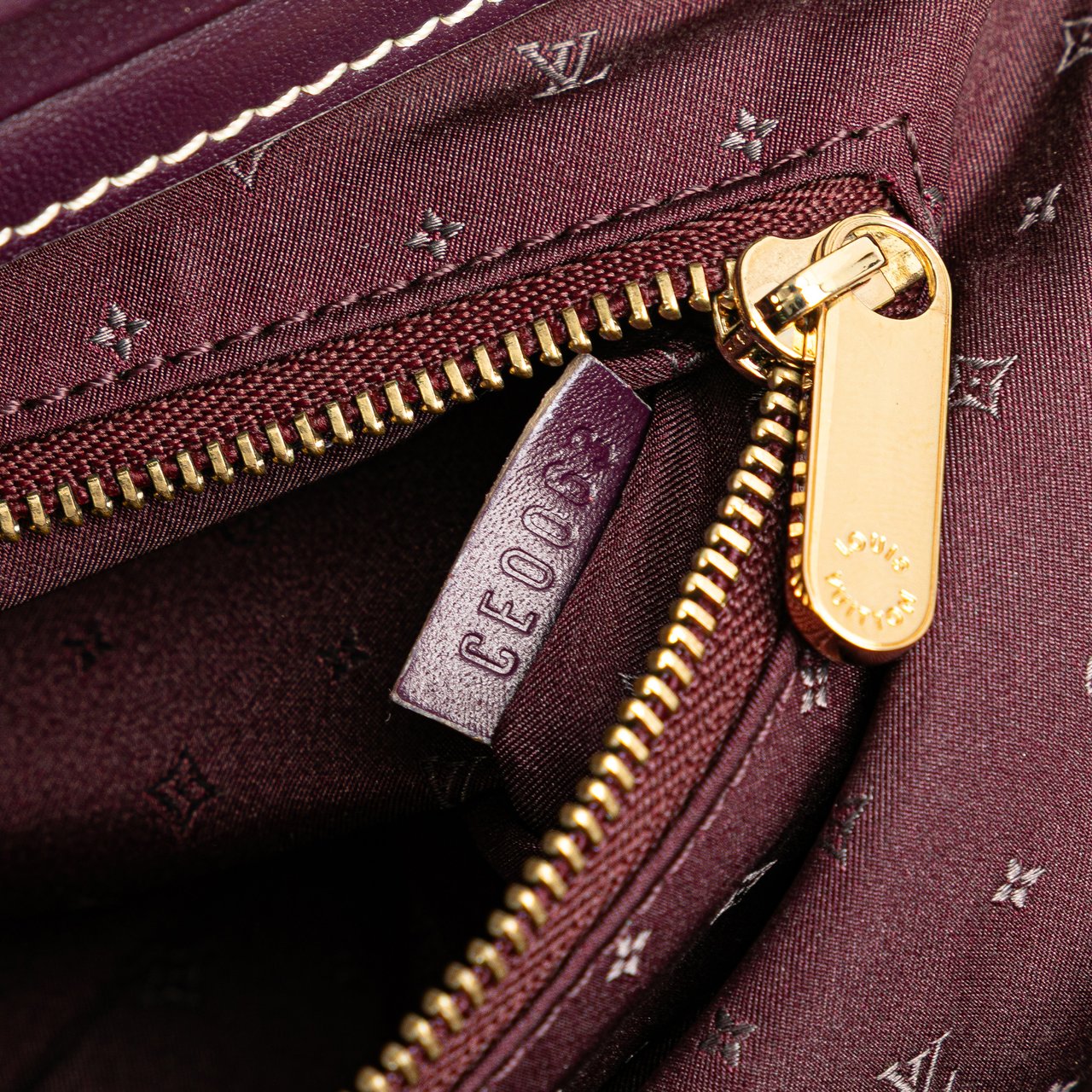 Louis Vuitton Suhali Lingenieux PM Paars