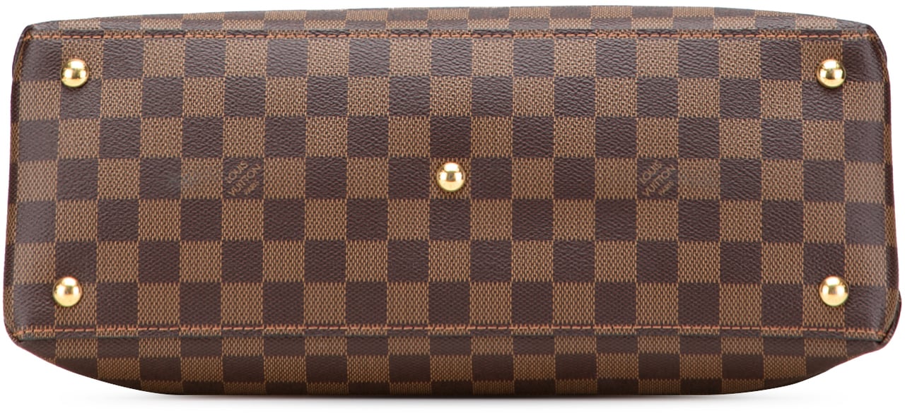 Louis Vuitton Damier Ebene Riverside Bruin