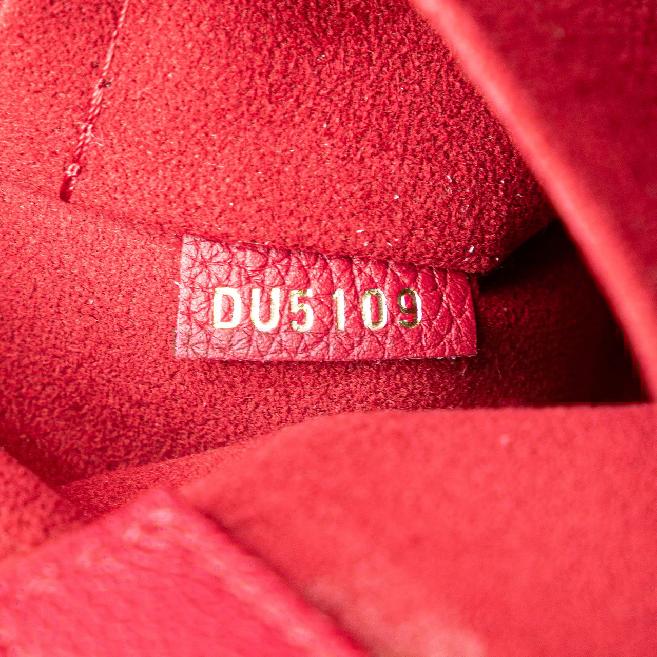 Louis Vuitton Damier Ebene Riverside Bruin