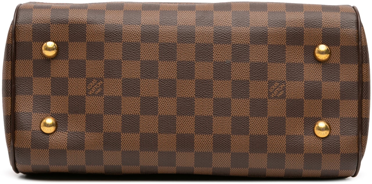 Louis Vuitton Damier Ebene Duomo Bruin