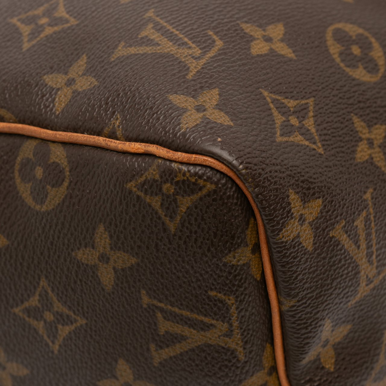 Louis Vuitton Monogram Speedy 30 Bruin