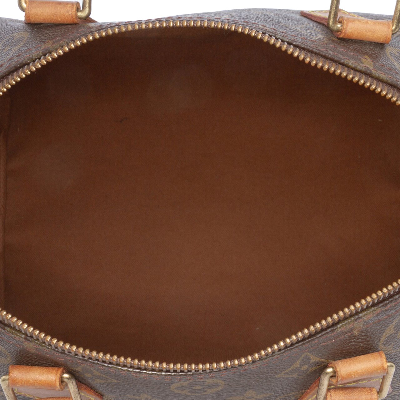 Louis Vuitton Monogram Speedy 30 Bruin
