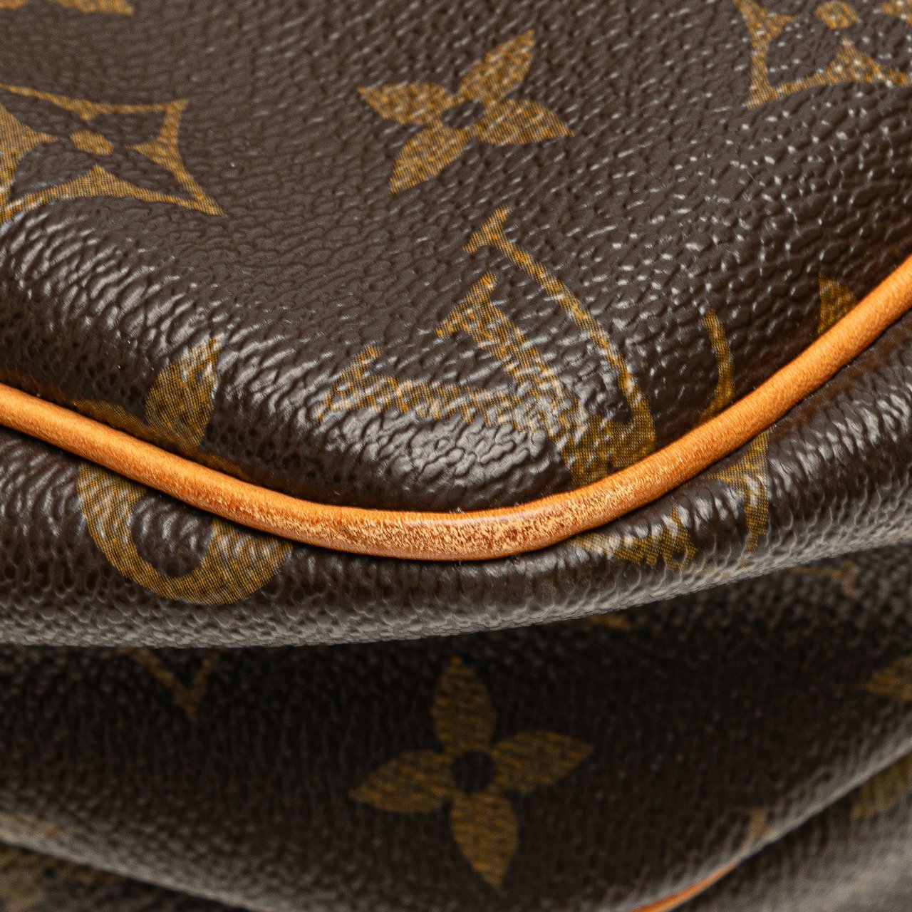 Louis Vuitton Monogram Reporter PM Bruin