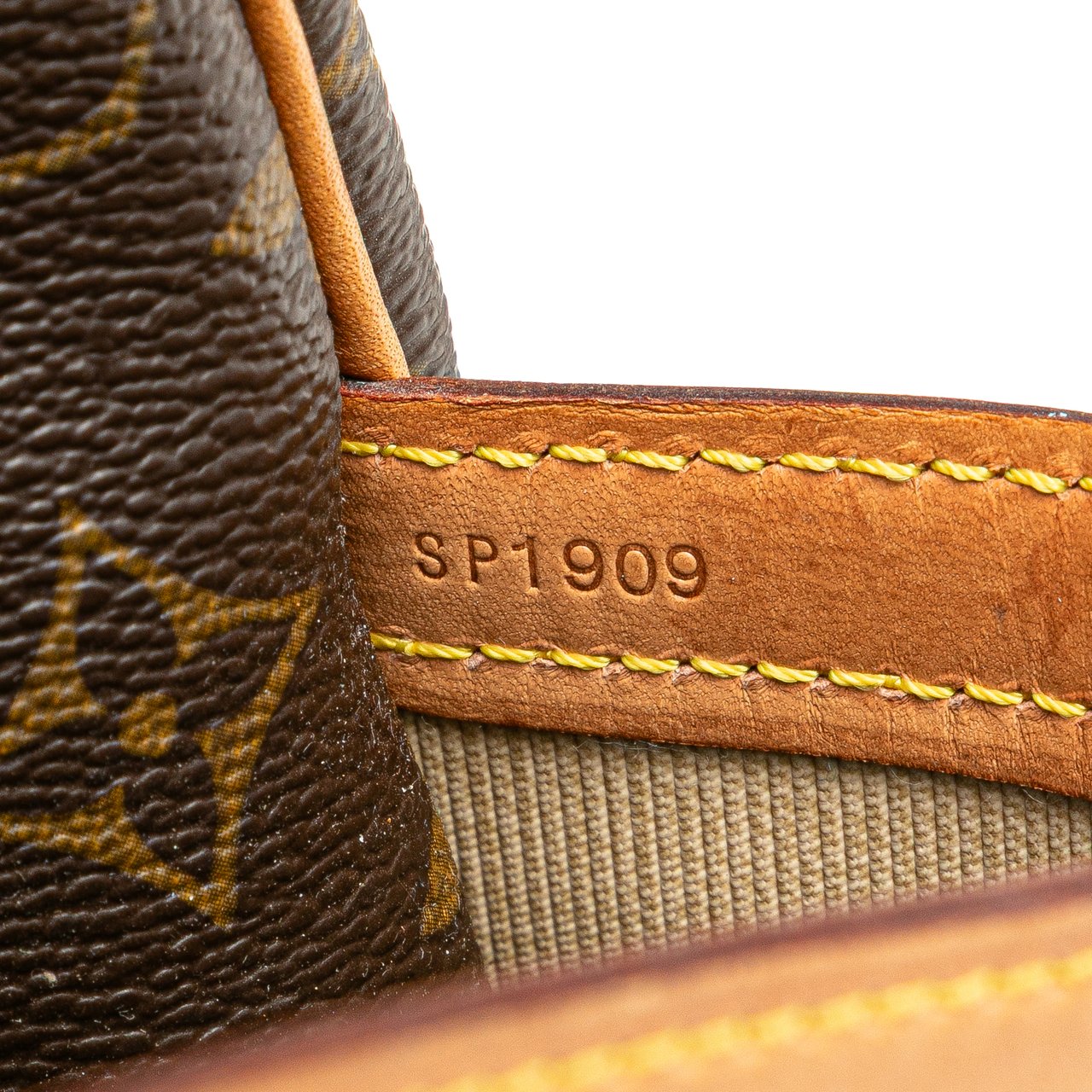 Louis Vuitton Monogram Reporter PM Bruin
