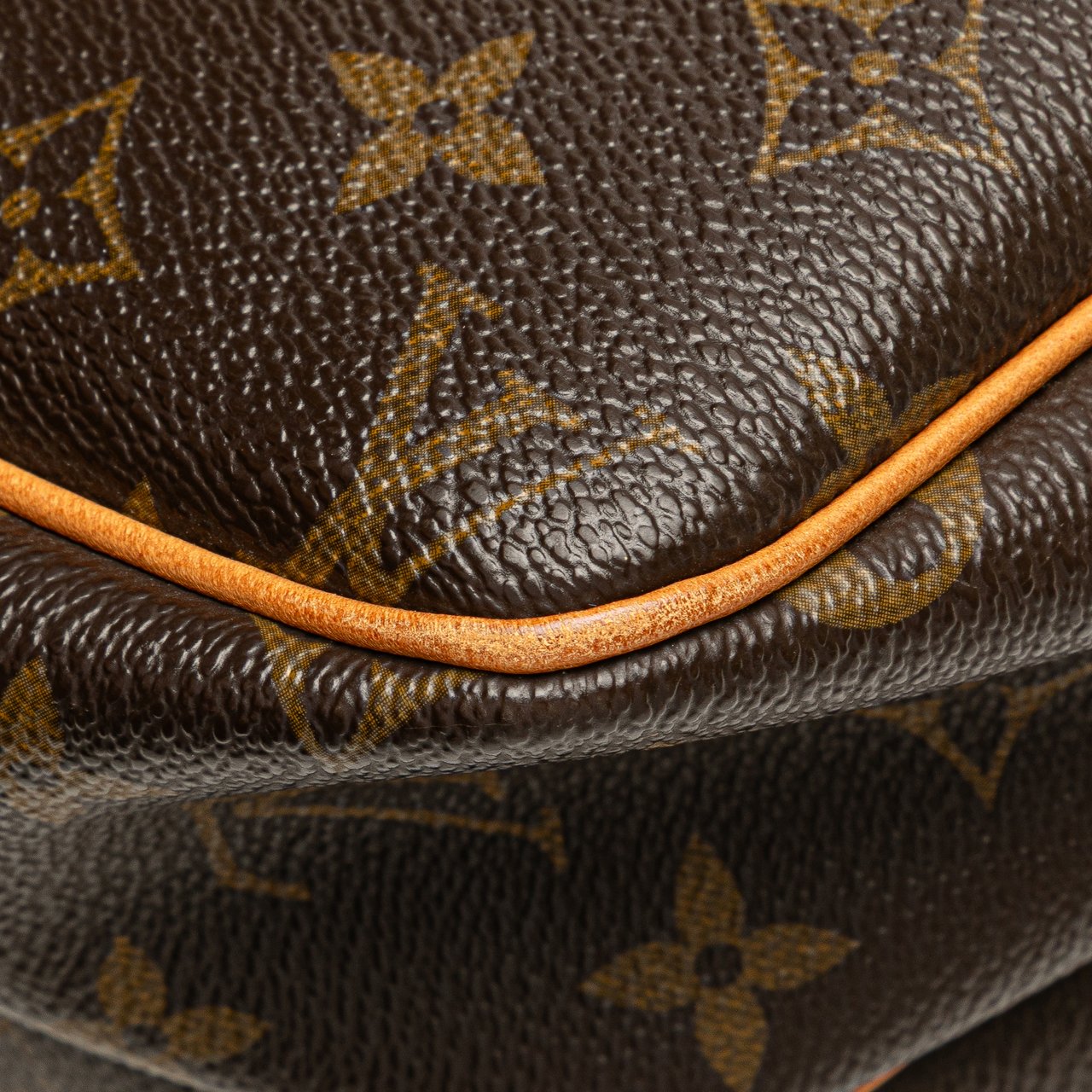 Louis Vuitton Monogram Reporter PM Bruin