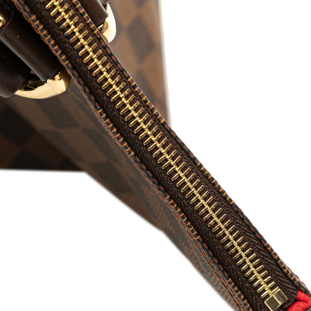 Louis Vuitton Damier Ebene Saleya PM Bruin