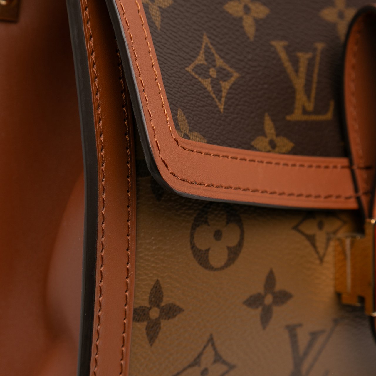 Louis Vuitton Monogram Reverse Dauphine MM Bruin