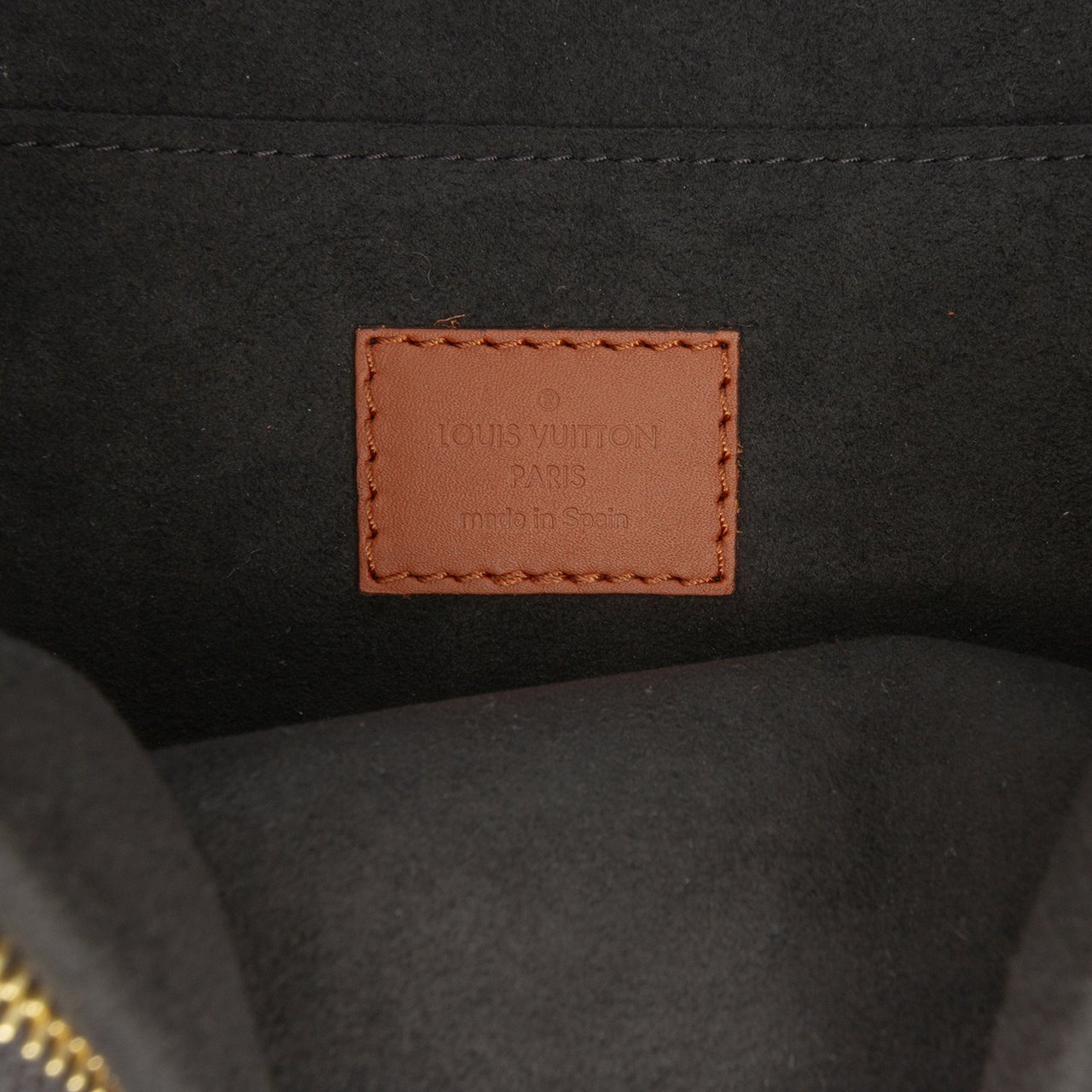 Louis Vuitton Monogram Reverse Dauphine MM Bruin