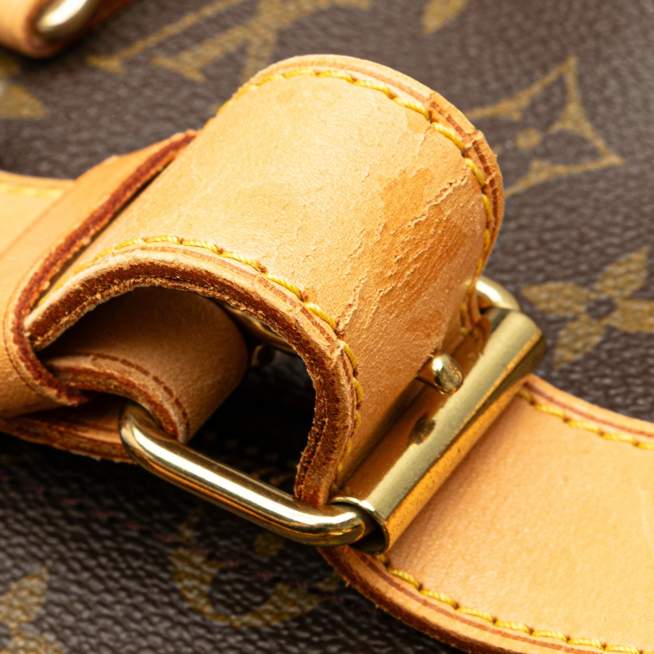 Louis Vuitton Monogram Cruiser 45 Bruin