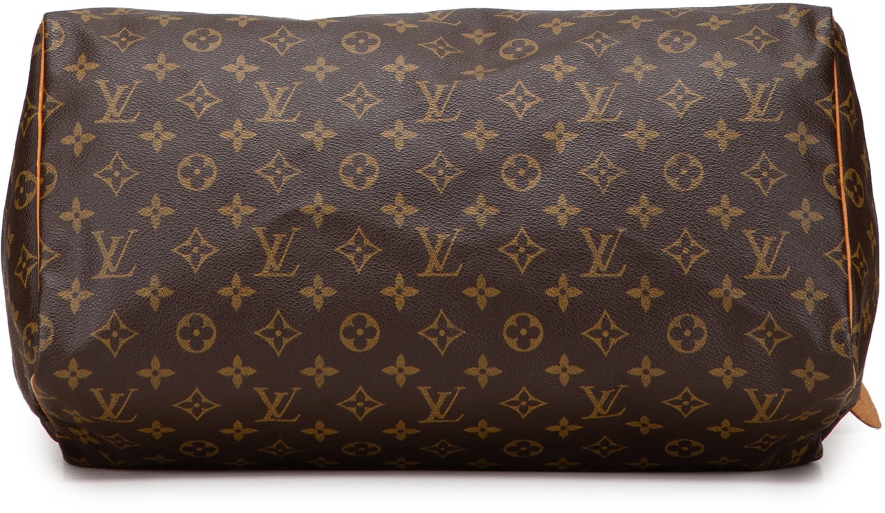 Louis Vuitton Monogram Speedy 40 Bruin