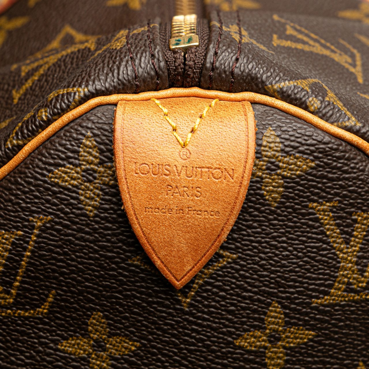 Louis Vuitton Monogram Speedy 40 Bruin