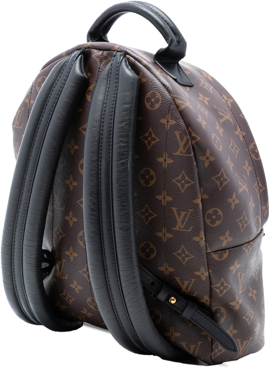Louis Vuitton Monogram Palm Springs MM Bruin
