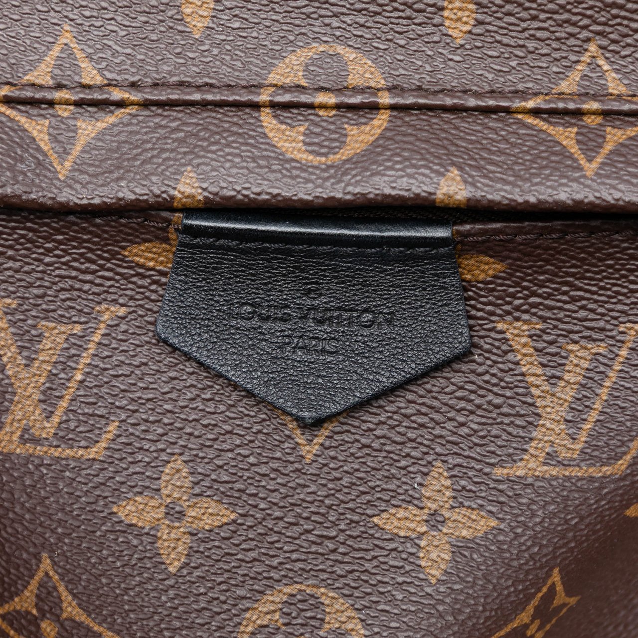 Louis Vuitton Monogram Palm Springs MM Bruin