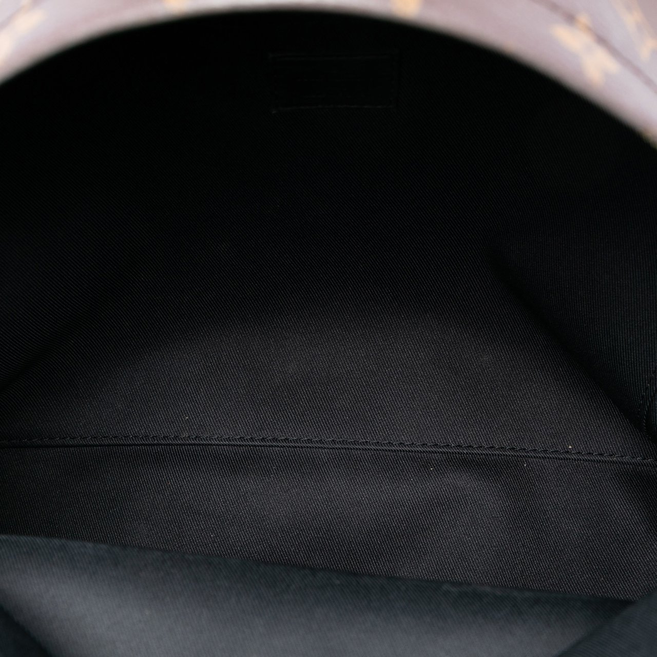 Louis Vuitton Monogram Palm Springs MM Bruin