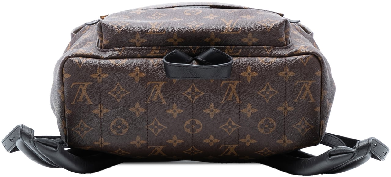 Louis Vuitton Monogram Palm Springs MM Bruin